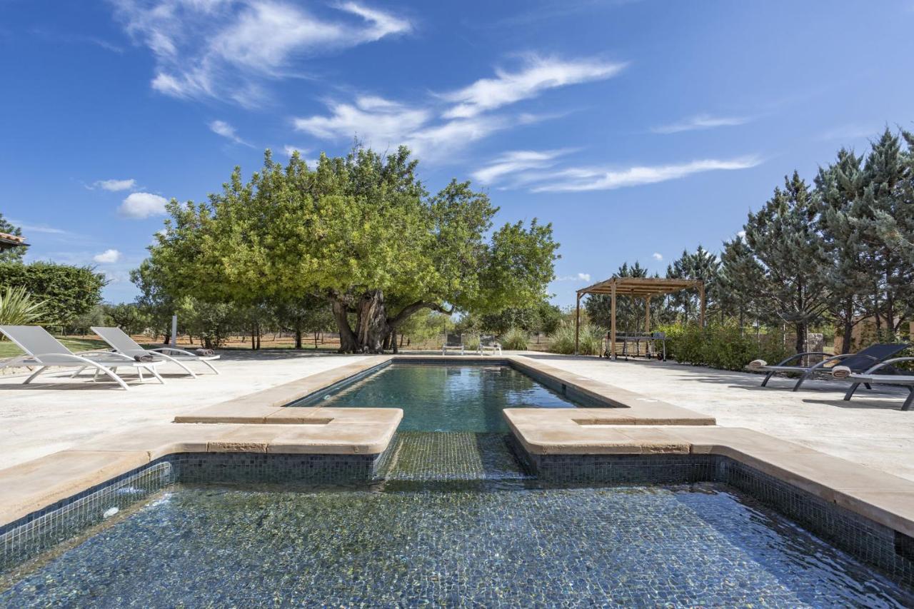 Villa Es Triquet Family Binissalem Luaran gambar